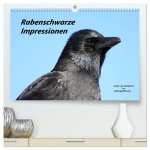 Rabenschwarze Impressionen - meike-ajo-dettlaff.de via wildvogelhlfe.org (hochwertiger Premium Wandkalender 2024 DIN A2 quer), Kunstdruck in Hochglanz