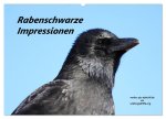 Rabenschwarze Impressionen - meike-ajo-dettlaff.de via wildvogelhlfe.org (Wandkalender 2024 DIN A2 quer), CALVENDO Monatskalender