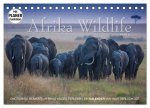 Emotionale Momente: Afrika Wildlife. Part 3. (Tischkalender 2024 DIN A5 quer), CALVENDO Monatskalender