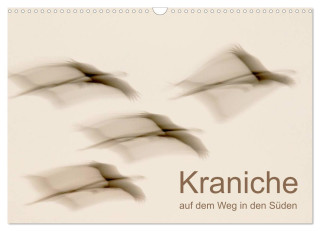 Kraniche auf dem Weg nach Süden (Wandkalender 2024 DIN A3 quer), CALVENDO Monatskalender