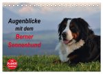 Augenblicke mit dem Berner Sennenhund (Tischkalender 2024 DIN A5 quer), CALVENDO Monatskalender