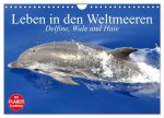Leben in den Weltmeeren. Delfine, Wale und Haie (Wandkalender 2024 DIN A4 quer), CALVENDO Monatskalender