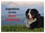 Augenblicke mit dem Berner Sennenhund (Tischkalender 2024 DIN A5 quer), CALVENDO Monatskalender