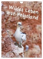 Wildes Leben auf Helgoland (Wandkalender 2024 DIN A4 hoch), CALVENDO Monatskalender