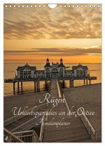 Rügen - Urlaubsparadies an der Ostsee - Familienplaner (Wandkalender 2024 DIN A4 hoch), CALVENDO Monatskalender