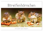 Streifenhörnchen - neugierige Nager (Wandkalender 2024 DIN A2 quer), CALVENDO Monatskalender