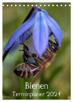 Bienen-Terminplaner 2024 (Tischkalender 2024 DIN A5 hoch), CALVENDO Monatskalender