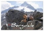 Der Bergdale - mit Hund im Hochgebirge (Wandkalender 2024 DIN A3 quer), CALVENDO Monatskalender