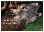 Der Rothirsch, König der Wälder (Wandkalender 2024 DIN A2 quer), CALVENDO Monatskalender