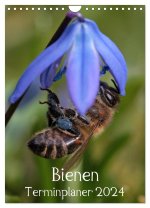 Bienen-Terminplaner 2024 (Wandkalender 2024 DIN A4 hoch), CALVENDO Monatskalender
