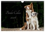 Border Collies 2024 (Wandkalender 2024 DIN A4 quer), CALVENDO Monatskalender