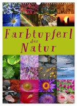 Farbtupferl der Natur (Wandkalender 2024 DIN A3 hoch), CALVENDO Monatskalender
