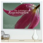 Die Schönheit von Regentropfen (hochwertiger Premium Wandkalender 2024 DIN A2 quer), Kunstdruck in Hochglanz