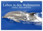Leben in den Weltmeeren. Delfine, Wale und Haie (Wandkalender 2024 DIN A4 quer), CALVENDO Monatskalender