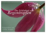 Die Schönheit von Regentropfen (Wandkalender 2024 DIN A4 quer), CALVENDO Monatskalender