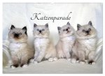 Katzenparade (Wandkalender 2024 DIN A2 quer), CALVENDO Monatskalender