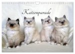 Katzenparade (Wandkalender 2024 DIN A4 quer), CALVENDO Monatskalender