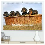 Hundekinder vom Land (hochwertiger Premium Wandkalender 2024 DIN A2 quer), Kunstdruck in Hochglanz