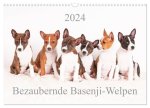 Bezaubernde Basenji-Welpen (Wandkalender 2024 DIN A3 quer), CALVENDO Monatskalender