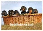 Hundekinder vom Land (Tischkalender 2024 DIN A5 quer), CALVENDO Monatskalender