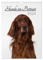 Hunde im Portrait (Wandkalender 2024 DIN A4 hoch), CALVENDO Monatskalender