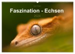 Faszination - Echsen (Wandkalender 2024 DIN A2 quer), CALVENDO Monatskalender