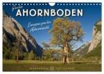 Großer Ahornboden - Europas großer Ahornwald (Wandkalender 2024 DIN A4 quer), CALVENDO Monatskalender