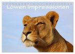 Löwen Impressionen (Tischkalender 2024 DIN A5 quer), CALVENDO Monatskalender