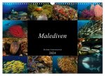 Malediven - Die bunte Unterwasserwelt (Wandkalender 2024 DIN A3 quer), CALVENDO Monatskalender