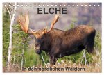 ELCHE In den nördlichen Wäldern (Tischkalender 2024 DIN A5 quer), CALVENDO Monatskalender