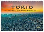 Tokio - Hightech und Menschenmassen (Wandkalender 2024 DIN A2 quer), CALVENDO Monatskalender