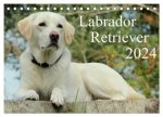 Labrador Retriever 2024 (Tischkalender 2024 DIN A5 quer), CALVENDO Monatskalender