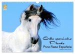 Edle spanische Pferde - Pura Raza Espanola (Wandkalender 2024 DIN A3 quer), CALVENDO Monatskalender