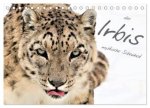 der Irbis - mystische Schönheit (Tischkalender 2024 DIN A5 quer), CALVENDO Monatskalender