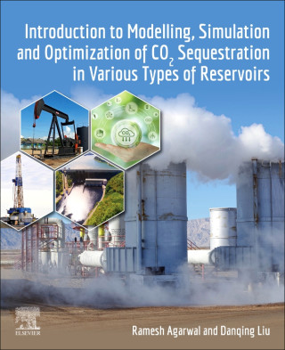 Introduction to Modelling, Simulation and Optimization of CO2 Sequestration in Various Types of Reservoirs