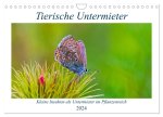 Tierische Untermieter (Wandkalender 2024 DIN A4 quer), CALVENDO Monatskalender