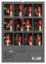 Das Rotlicht (hochwertiger Premium Wandkalender 2024 DIN A2 hoch), Kunstdruck in Hochglanz