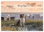Hunde an der Nordsee (Wandkalender 2024 DIN A2 quer), CALVENDO Monatskalender