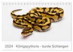 Königspythons - bunte Schlangen (Tischkalender 2024 DIN A5 quer), CALVENDO Monatskalender