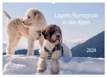 Lagotto Romagnolo in den Alpen 2024 (Wandkalender 2024 DIN A2 quer), CALVENDO Monatskalender