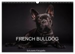 French Bulldog (Wandkalender 2024 DIN A3 quer), CALVENDO Monatskalender