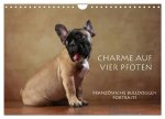 Charme auf vier Pfoten - Französische Bulldoggen Portraits (Wandkalender 2024 DIN A4 quer), CALVENDO Monatskalender