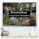 Rostlauben - vergessene Klassiker (hochwertiger Premium Wandkalender 2024 DIN A2 quer), Kunstdruck in Hochglanz