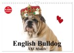 English Bulldog XXL Models (Wandkalender 2024 DIN A4 quer), CALVENDO Monatskalender