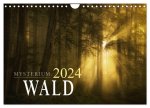 Mysterium Wald (Wandkalender 2024 DIN A4 quer), CALVENDO Monatskalender