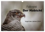 Falknerei Der Habicht (Wandkalender 2024 DIN A3 quer), CALVENDO Monatskalender