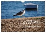 ISTRIEN - Die Perle Kroatiens (Wandkalender 2024 DIN A4 quer), CALVENDO Monatskalender