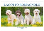 Lagotto Romagnolo - Der Trüffelhund aus Italien (Wandkalender 2024 DIN A2 quer), CALVENDO Monatskalender