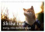 Shiba Inu - mutig, treu, selbstbewusst (Wandkalender 2024 DIN A4 quer), CALVENDO Monatskalender