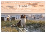 Hunde an der Nordsee (Tischkalender 2024 DIN A5 quer), CALVENDO Monatskalender